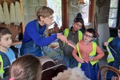 erfgoed: zijderups en wollen schaap